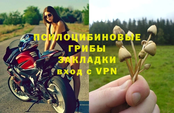мдпв Зеленодольск