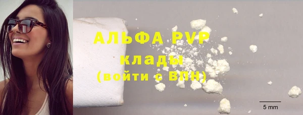 эйфоретик Инта
