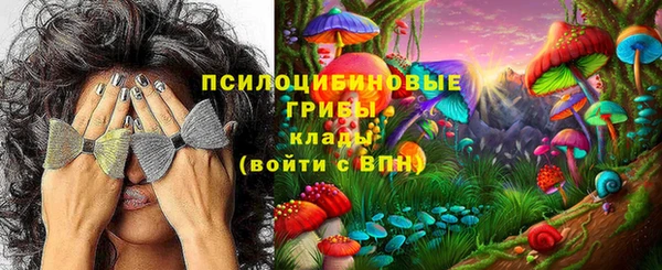 PSILOCYBIN Зеленокумск