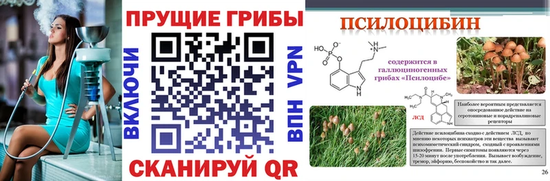 Псилоцибиновые грибы GOLDEN TEACHER  Купить где  Ряжск 